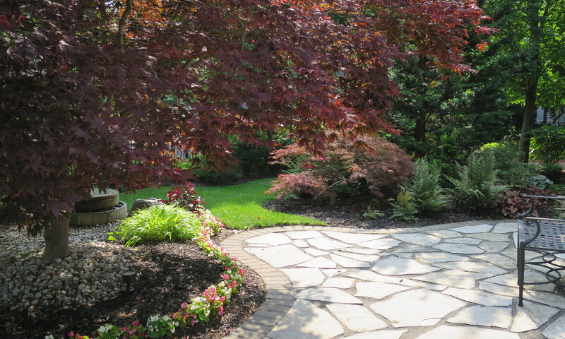 Outdoor patio garden and walkway