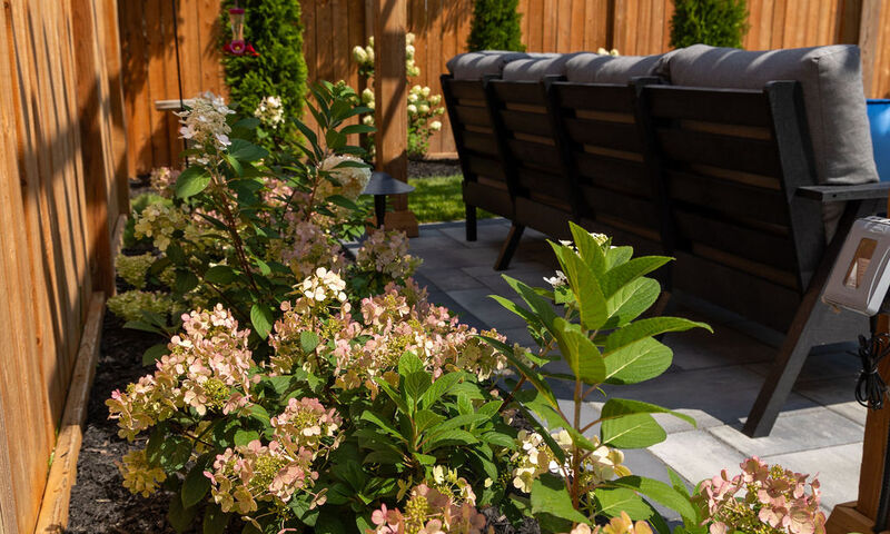 Back yard patio garden