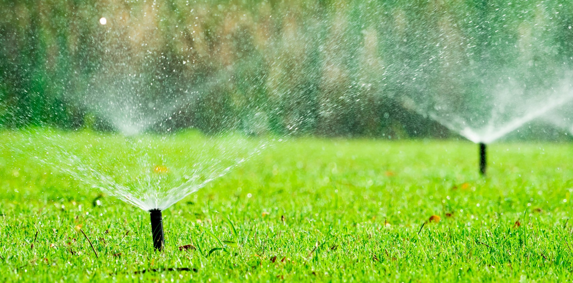 5 Effective Tips That Will Improve Your Property's Irrigation - Tree ...